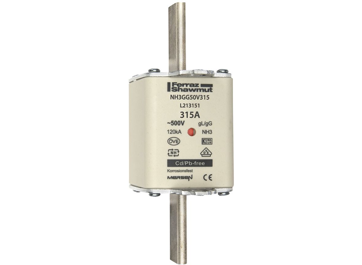 L213151 - NH fuse-link gG, 500VAC, size 3, 315A double indicator/live tags